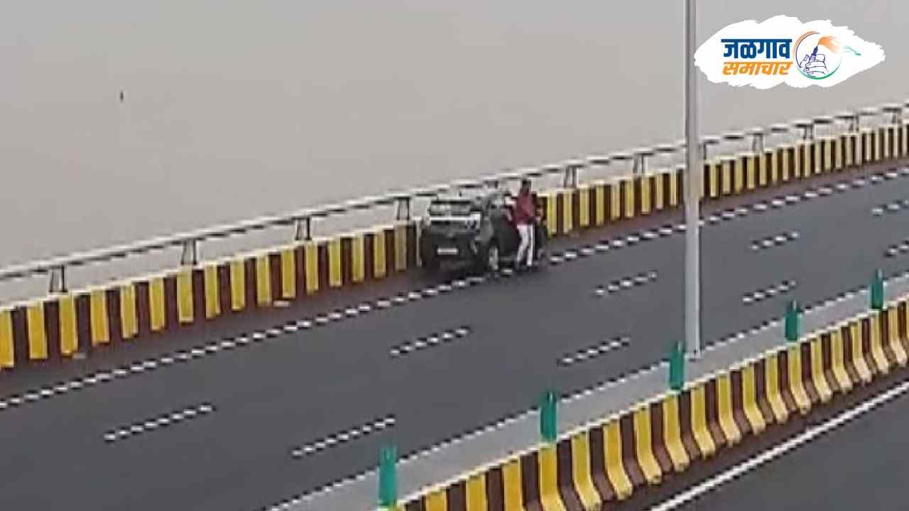 New Project (1) - 2024-07-25T081706.102