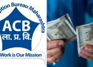 लाकूड वाहतूक प्रकरणात वनरक्षकावर लाचखोरीचा गुन्हा, एसीबीची कारवाई