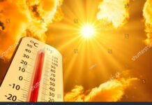 जळगाव तापलं! ४२ अंशांच्या पार पारा; उष्णतेच्या लाटेचा भविष्यात काय असेल परिणाम?