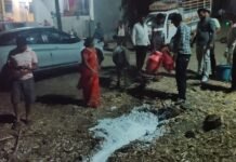 धरणगाव तालुक्यातील भवरखेड येथे बनावट दूध निर्मितीचा पर्दाफाश; २६६ लिटर भेसळयुक्त दूध नष्ट