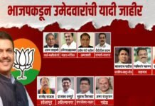 विधान परिषद निवडणुकीसाठी भाजपचे ११ उमेदवार जाहीर…
