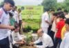 हरित महाराष्ट्र अभियानात अनुभूती निवासी स्कूलच्या विद्यार्थ्यांकडून वृक्षारोपण