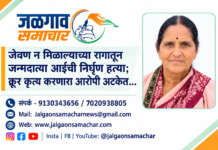 जेवण न मिळाल्याच्या रागातून जन्मदात्या आईची निर्घृण हत्या; क्रूर कृत्य करणारा आरोपी अटकेत…